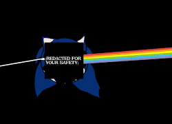 第7回：再生数という数字の虚無 ―― 誰のための記録か